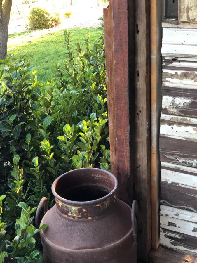 No 3 @ Bed In A Shed B&BsWatervale エクステリア 写真